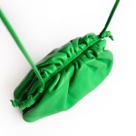 Bottega Veneta The Pouch